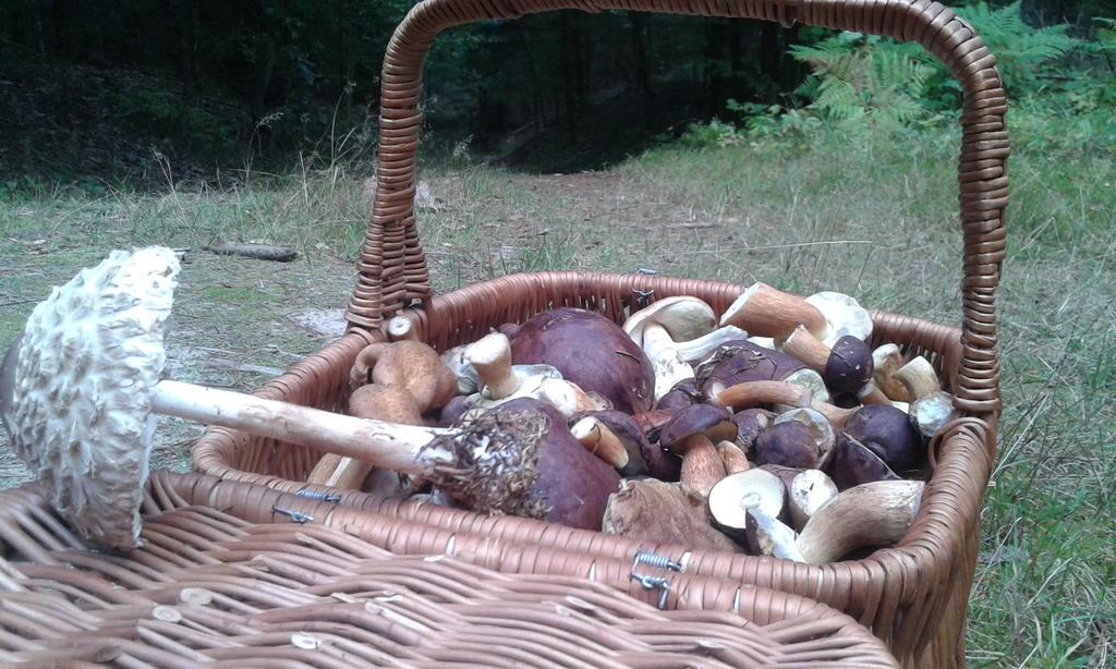 Wiejska Chata Szwalk Εξωτερικό φωτογραφία